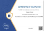 Attestato: Foundations of IT Security and Risk Management (ITSRM) (ENISA Training & Exercise service)